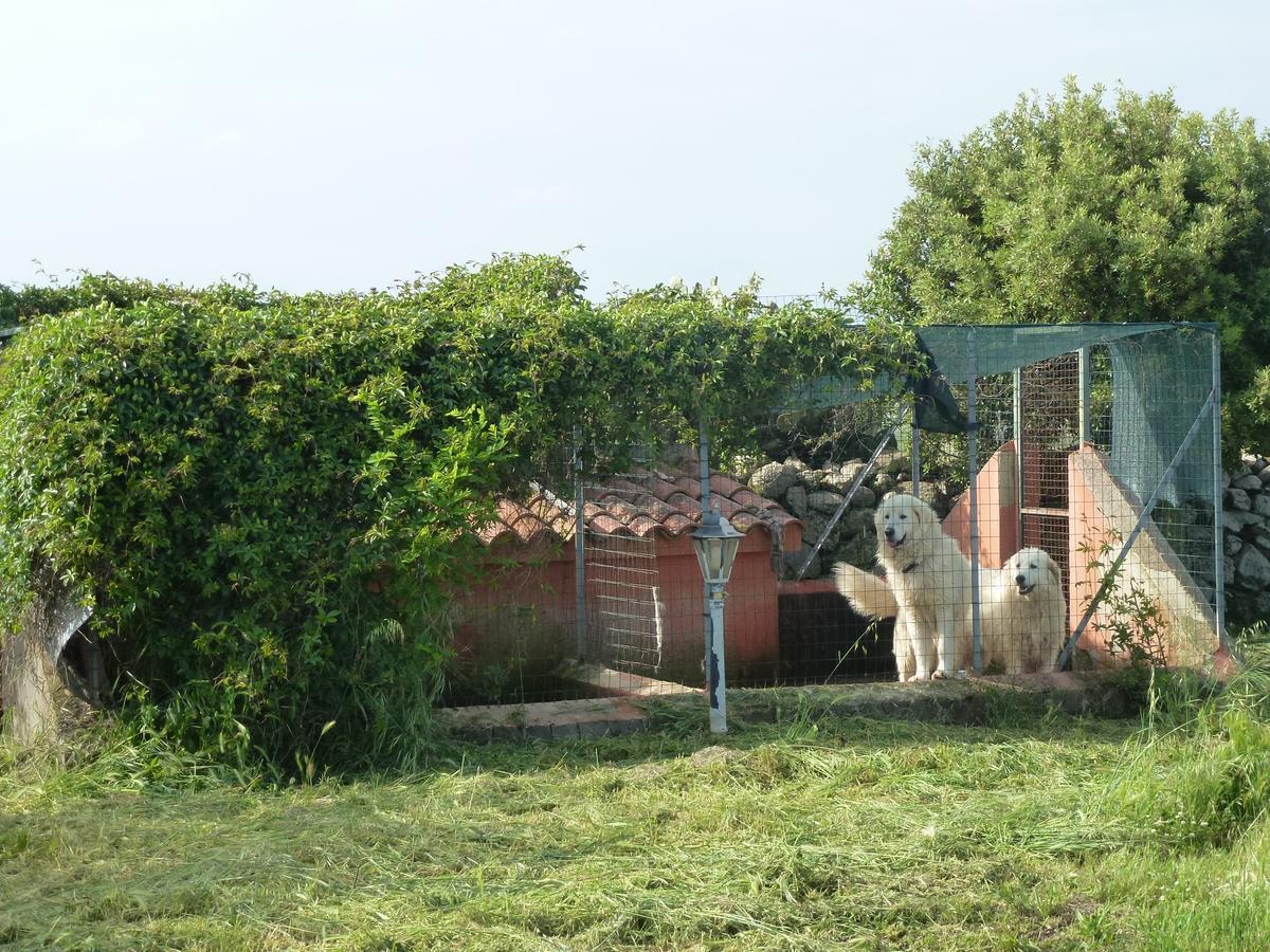 Agriturismo Nuragh'Elighe Sindia Exterior foto